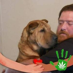 Meet your Posher, Pat